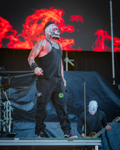 MUDVAYNE 12