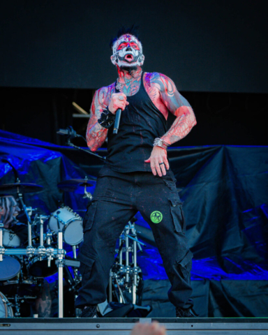 MUDVAYNE 15
