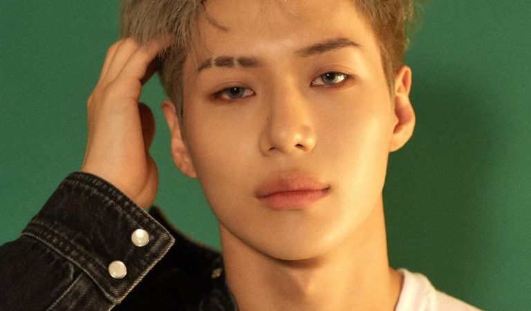 TAEMIN en Chile: El arte de cruzar los límites del K-Pop